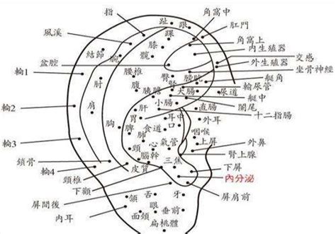 女人耳朵有痣|痣的位置与命运：耳朵上有痣代表什么寓意